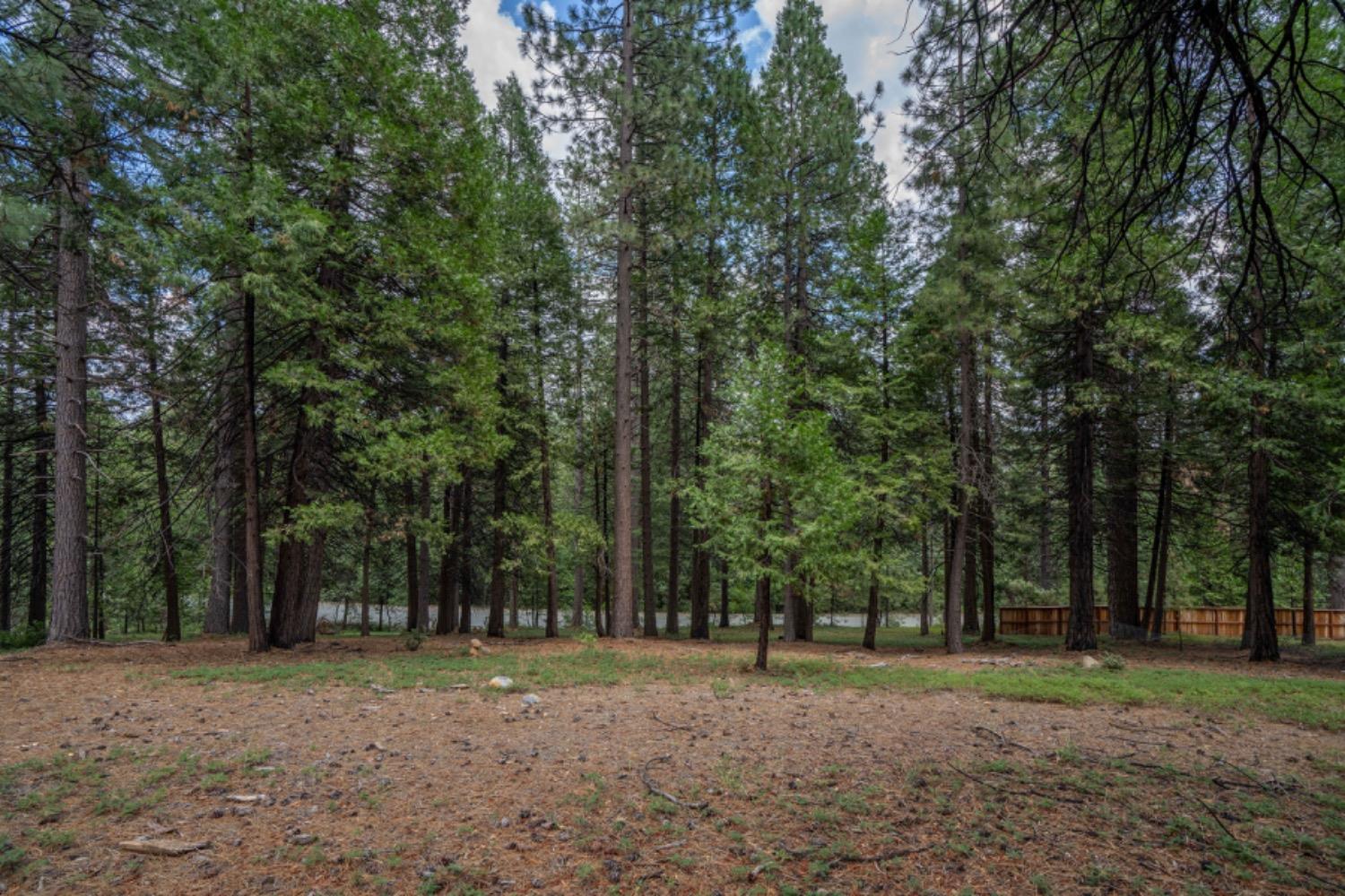 State Highway 88, Pioneer, California image 8