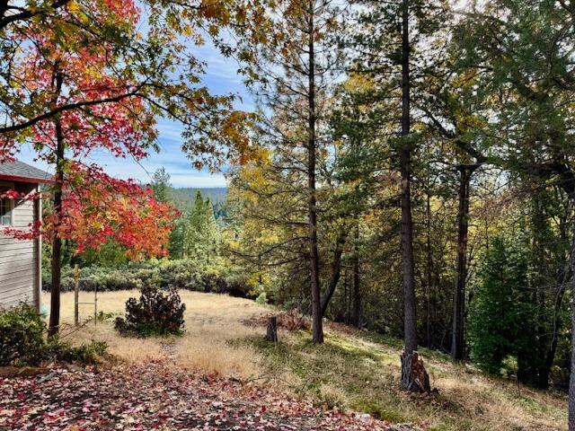 Detail Gallery Image 30 of 38 For 4051 Pacific Crest Ct, Placerville,  CA 95667 - 3 Beds | 2 Baths