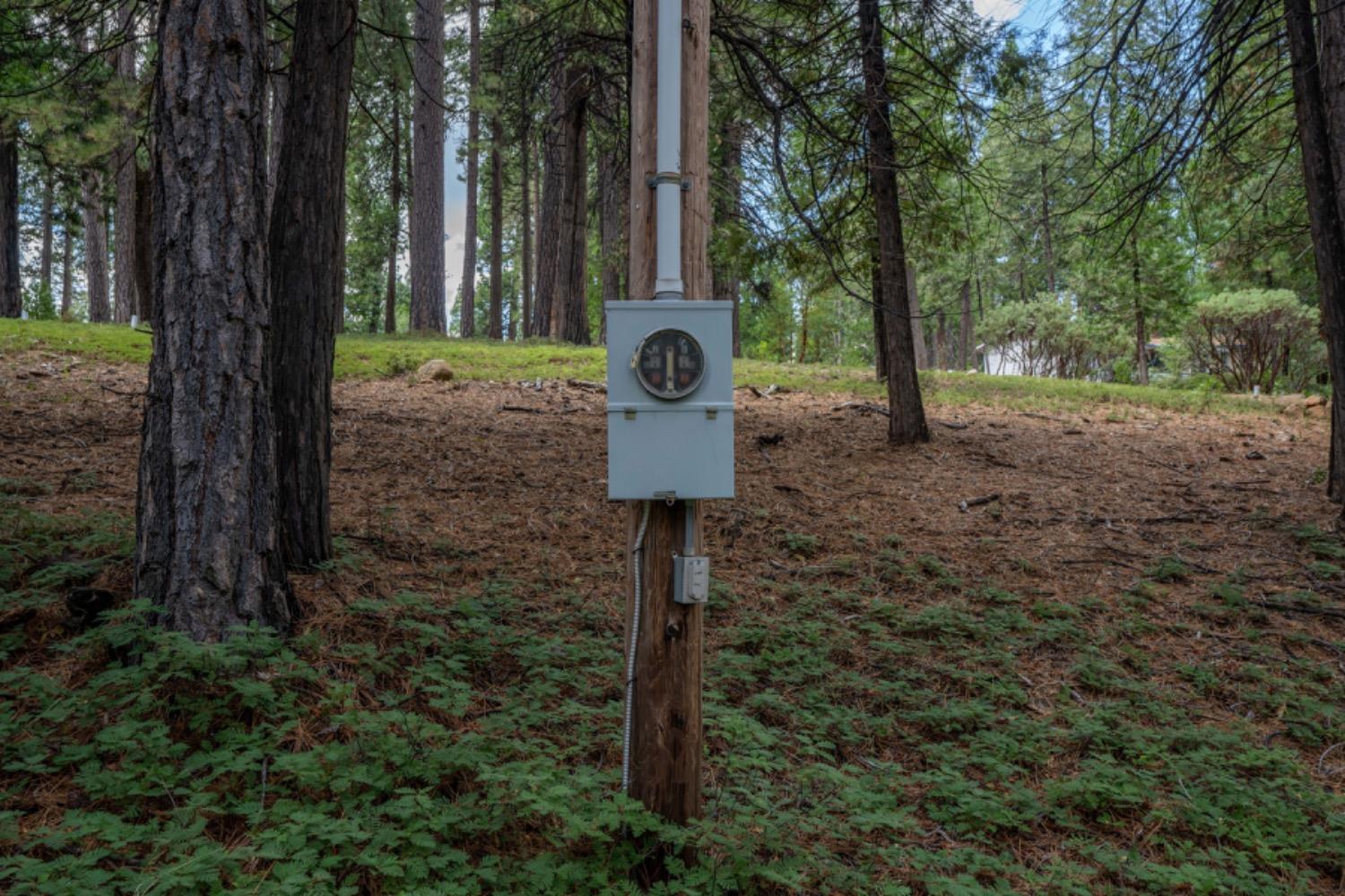 State Highway 88, Pioneer, California image 6