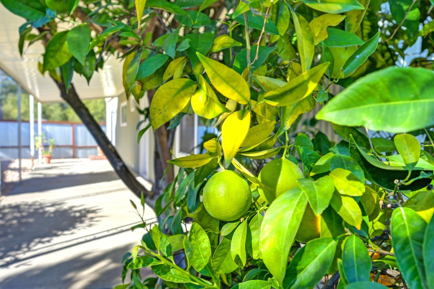 Detail Gallery Image 25 of 25 For 52 Cedar Cir, Folsom,  CA 95630 - 2 Beds | 2 Baths