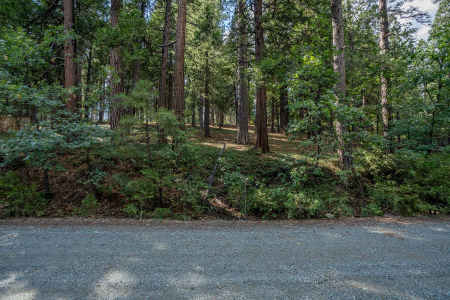 State Highway 88, Pioneer, California image 10