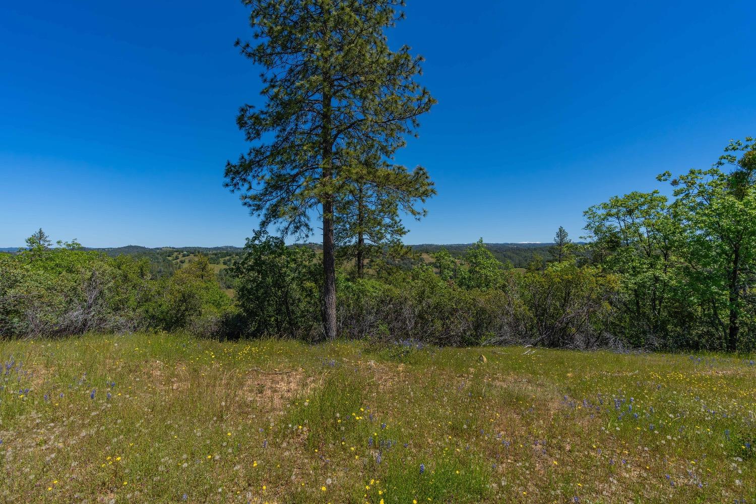 Detail Gallery Image 7 of 57 For 12377 Twin Pines Rd, Sutter Creek,  CA 95685 - – Beds | – Baths