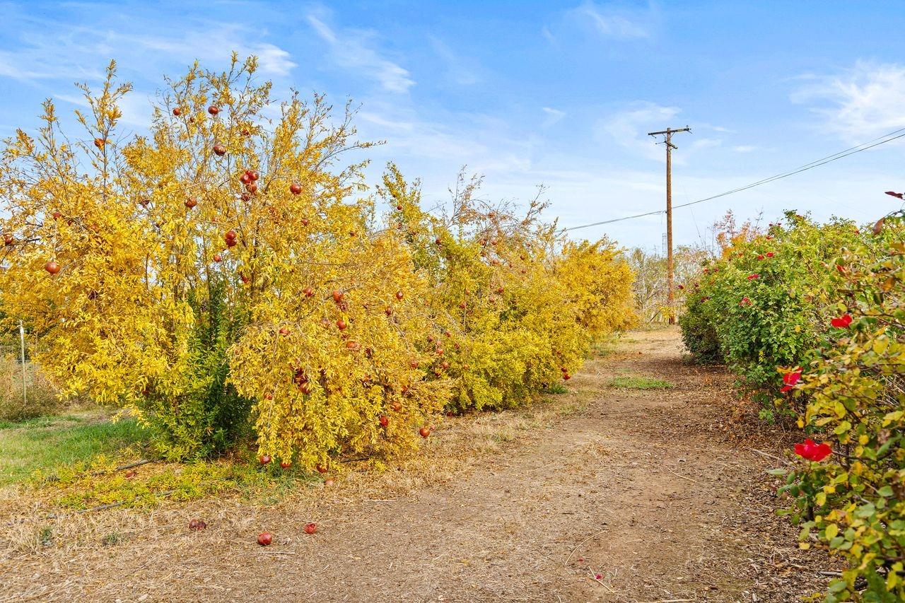 Detail Gallery Image 56 of 74 For 13751 Se Indio Dr, Sloughhouse,  CA 95683 - 3 Beds | 2/1 Baths