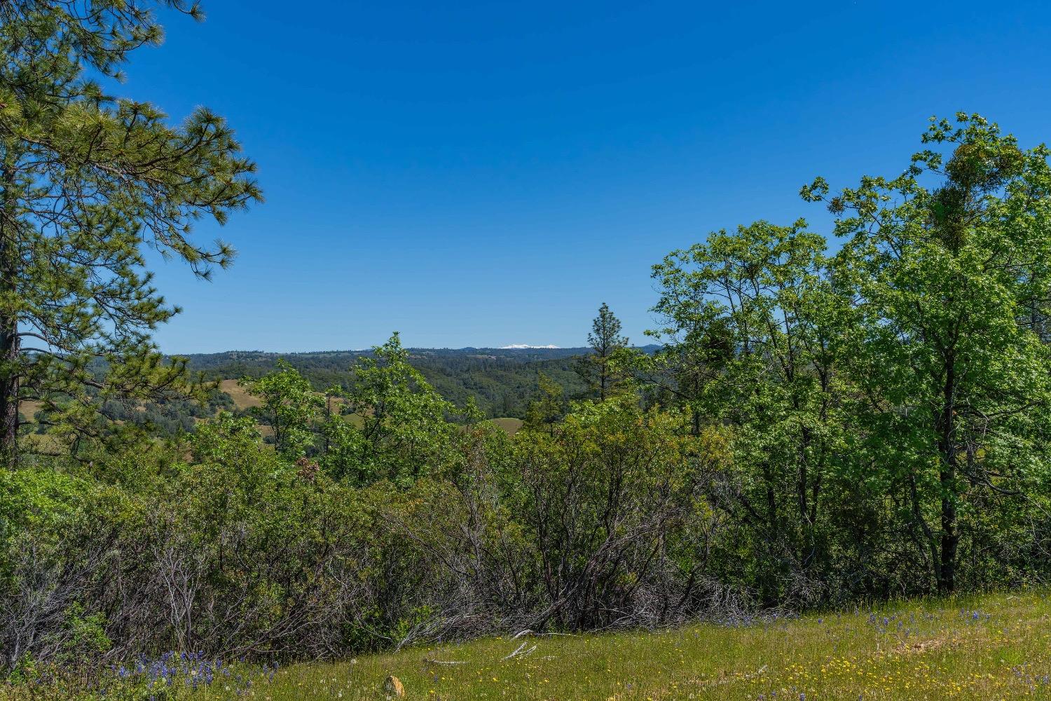 Detail Gallery Image 6 of 57 For 12377 Twin Pines Rd, Sutter Creek,  CA 95685 - – Beds | – Baths