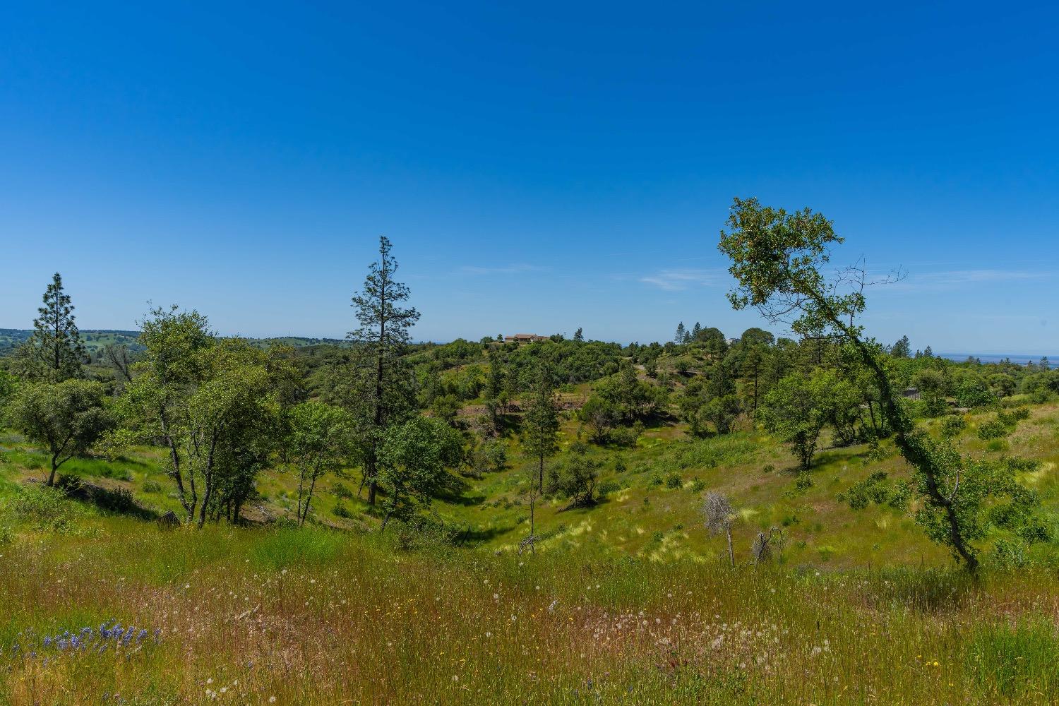 Detail Gallery Image 17 of 57 For 12377 Twin Pines Rd, Sutter Creek,  CA 95685 - – Beds | – Baths