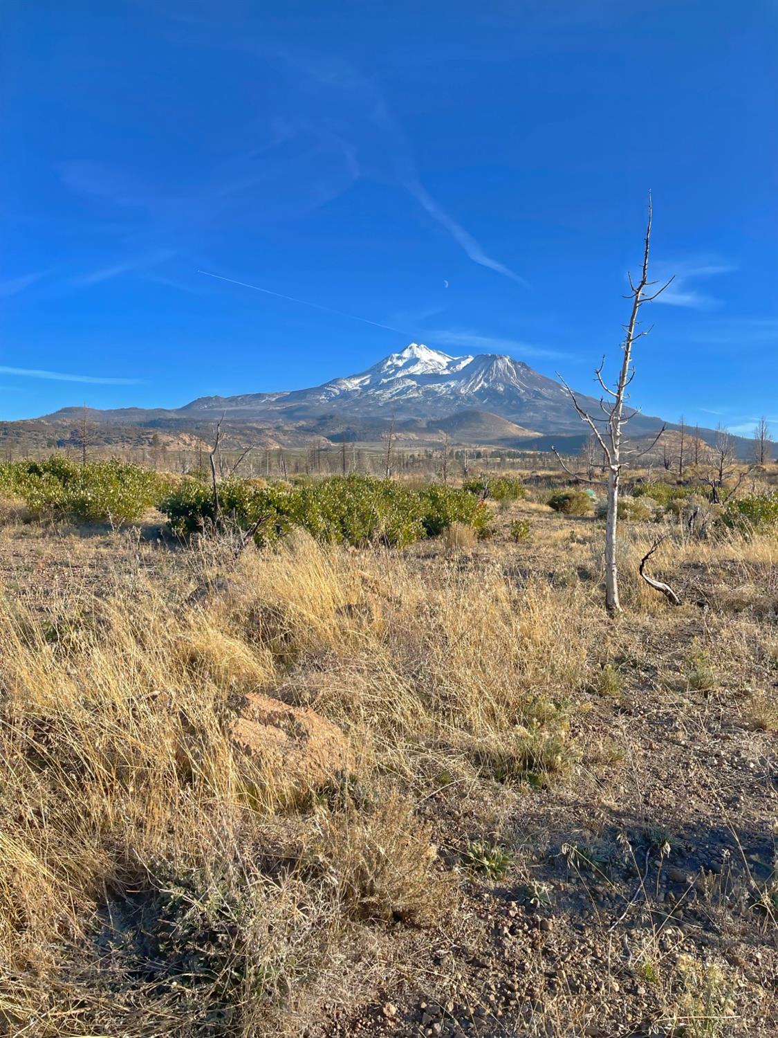 Juniper Valley Drive, Weed, California image 2