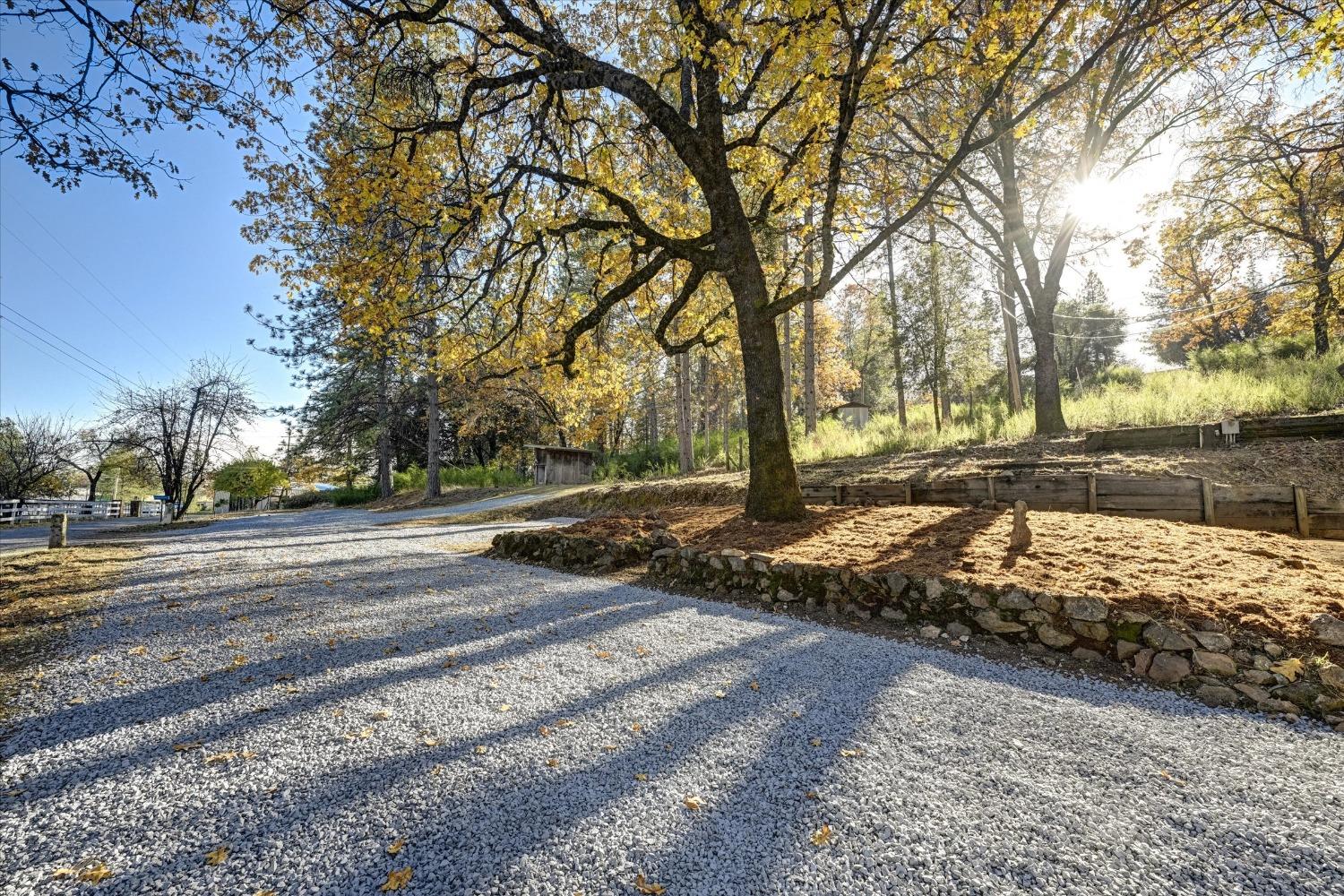 Orchard Avenue, Applegate, California image 2