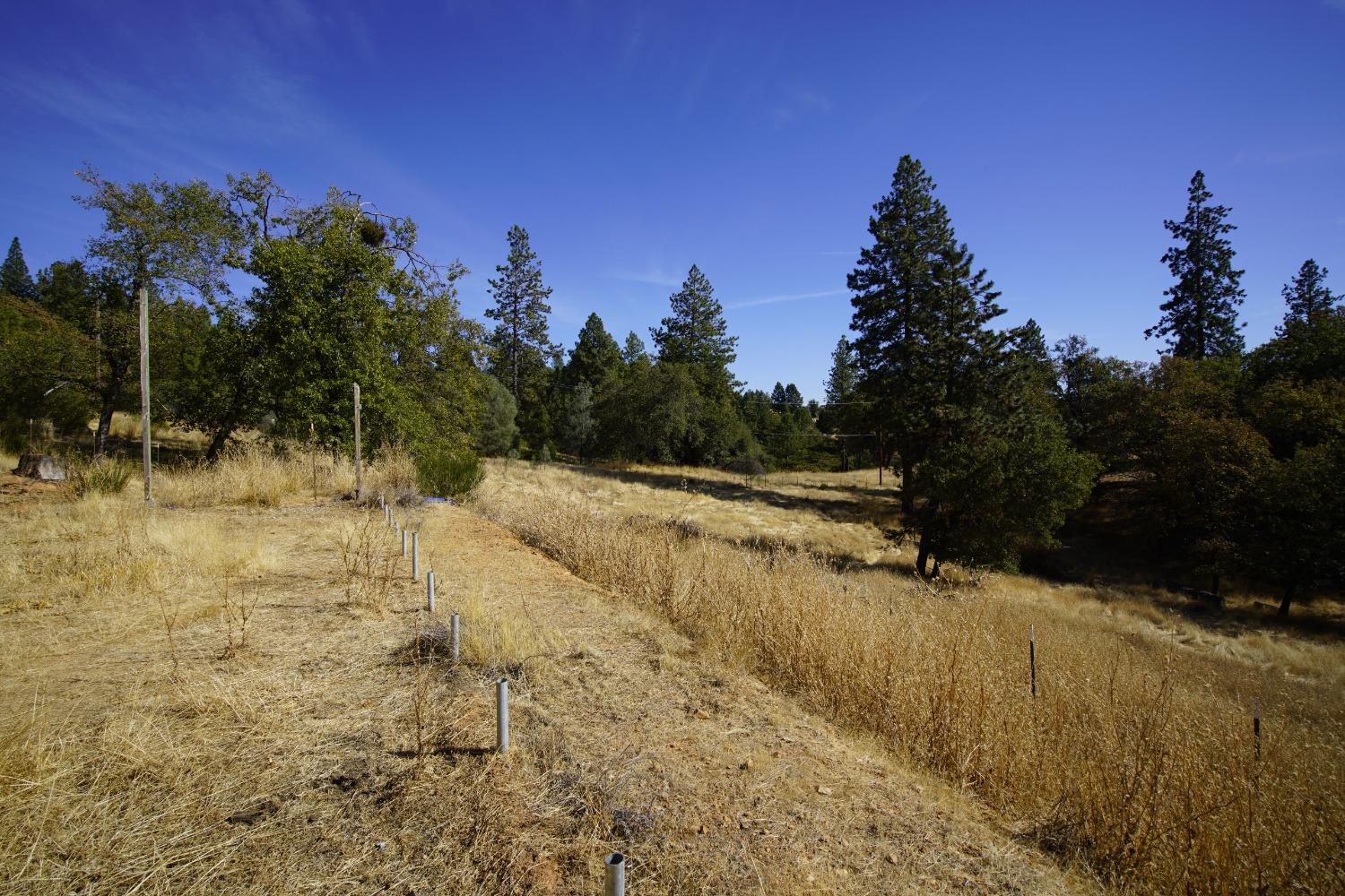 Detail Gallery Image 47 of 51 For 11897 Lost Ranch Way, Nevada City,  CA 95959 - 3 Beds | 2 Baths