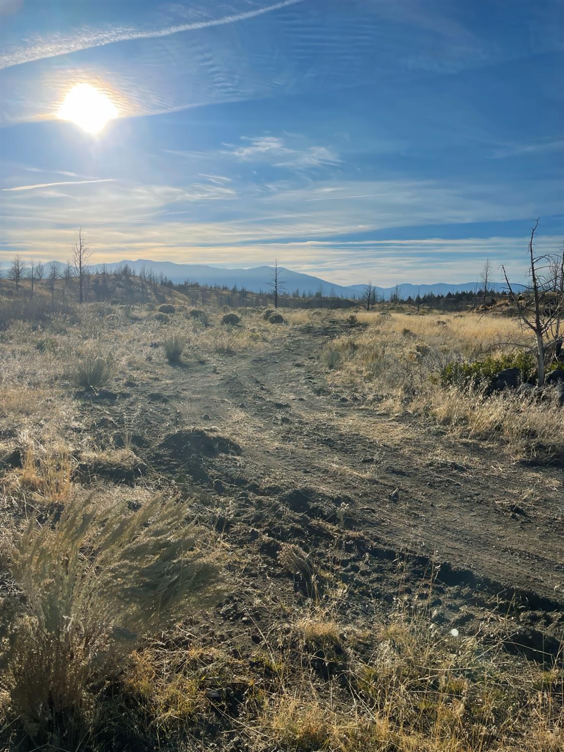 Juniper Valley Drive, Weed, California image 9