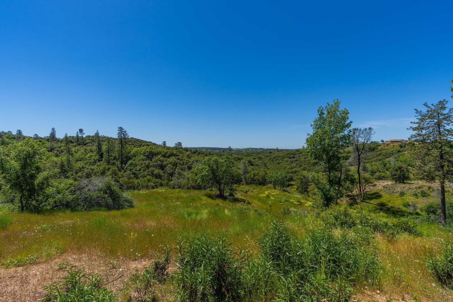 Detail Gallery Image 24 of 57 For 12377 Twin Pines Rd, Sutter Creek,  CA 95685 - – Beds | – Baths