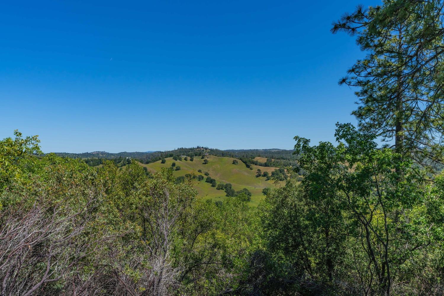 Detail Gallery Image 10 of 57 For 12377 Twin Pines Rd, Sutter Creek,  CA 95685 - – Beds | – Baths