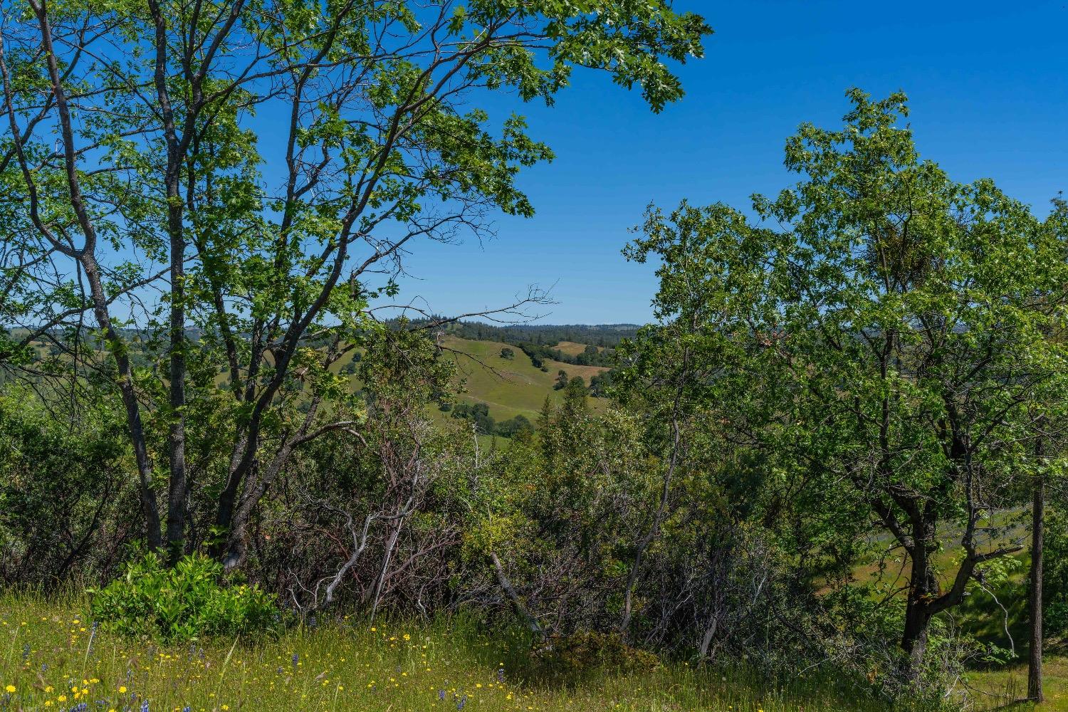 Detail Gallery Image 4 of 57 For 12377 Twin Pines Rd, Sutter Creek,  CA 95685 - – Beds | – Baths