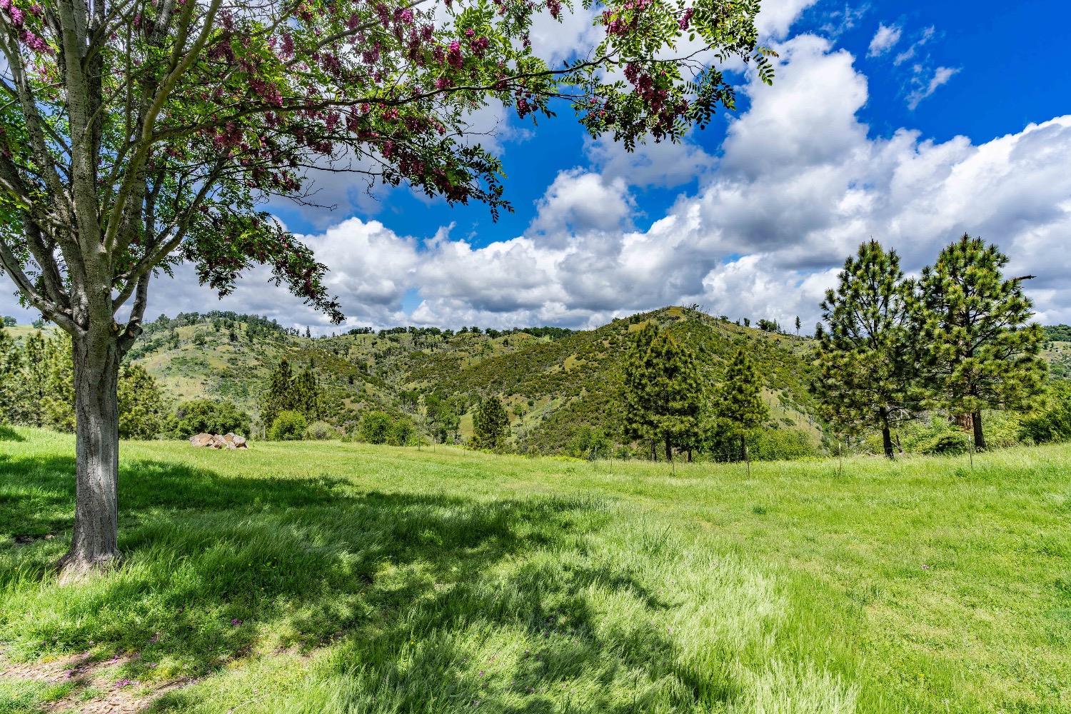 Detail Gallery Image 33 of 49 For 4361 D Agostini Dr, Somerset,  CA 95684 - 3 Beds | 2 Baths