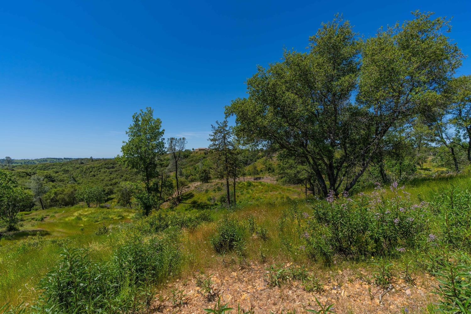 Detail Gallery Image 25 of 57 For 12377 Twin Pines Rd, Sutter Creek,  CA 95685 - – Beds | – Baths