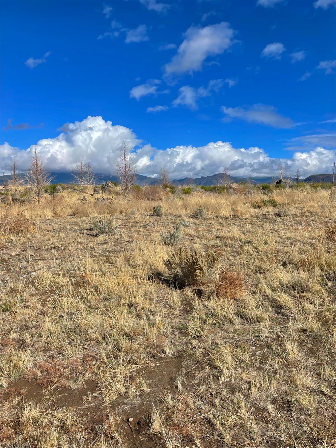 Juniper Valley Drive, Weed, California image 5