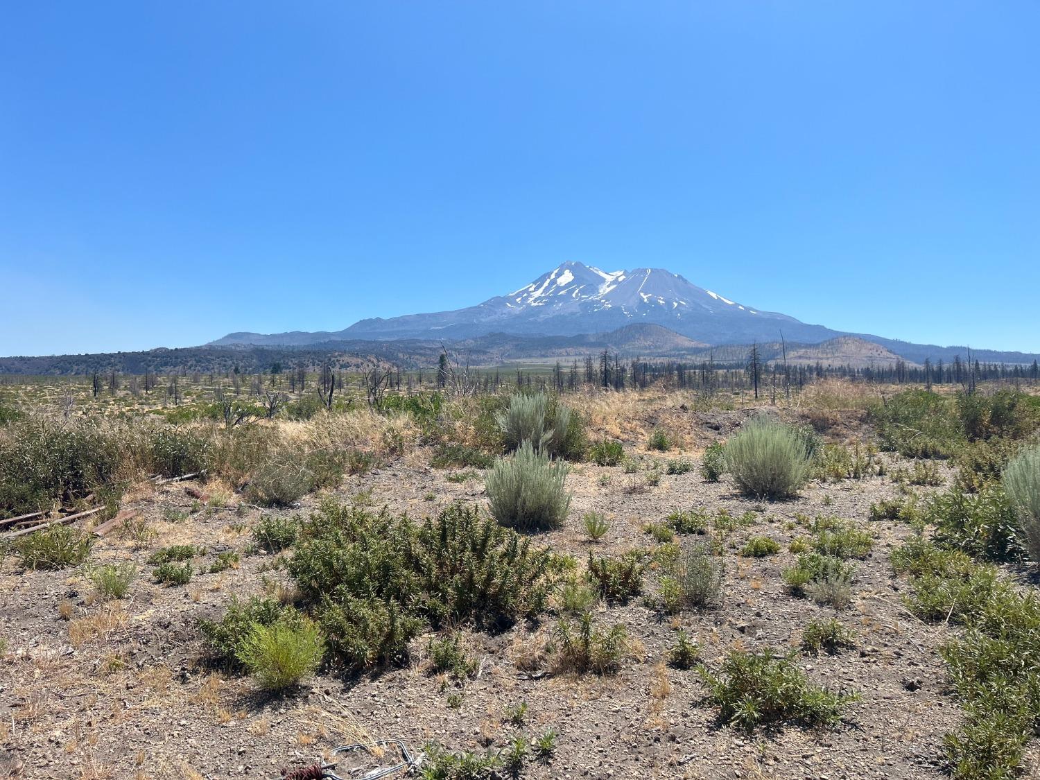 Juniper Valley Drive, Weed, California image 1