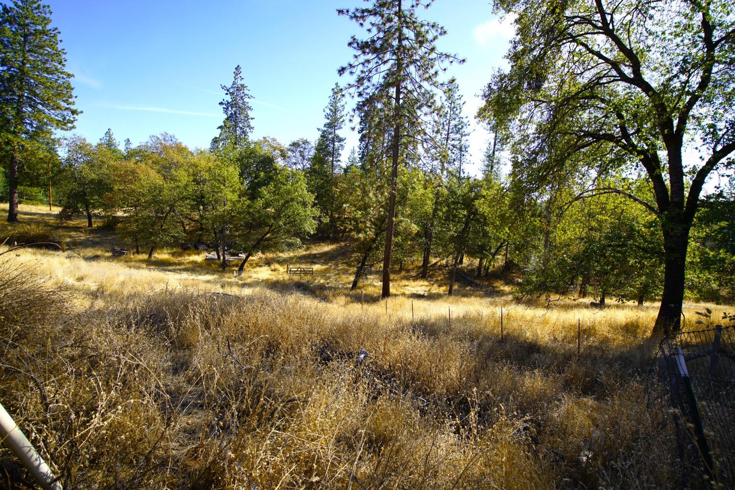 Detail Gallery Image 42 of 51 For 11897 Lost Ranch Way, Nevada City,  CA 95959 - 3 Beds | 2 Baths