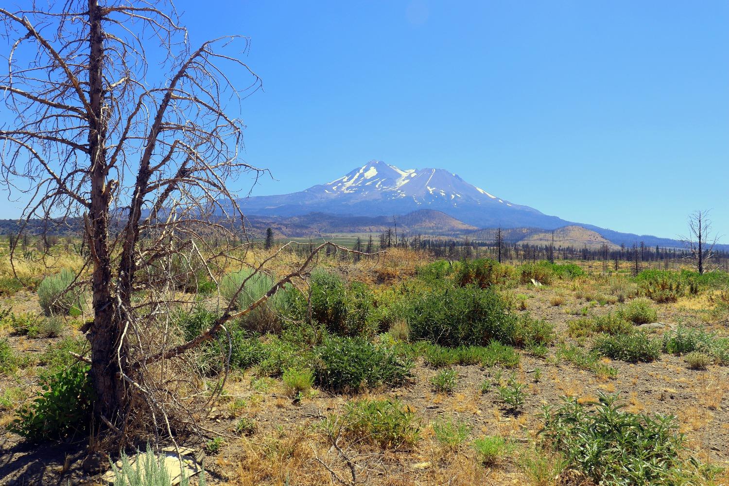 Juniper Valley Drive, Weed, California image 7