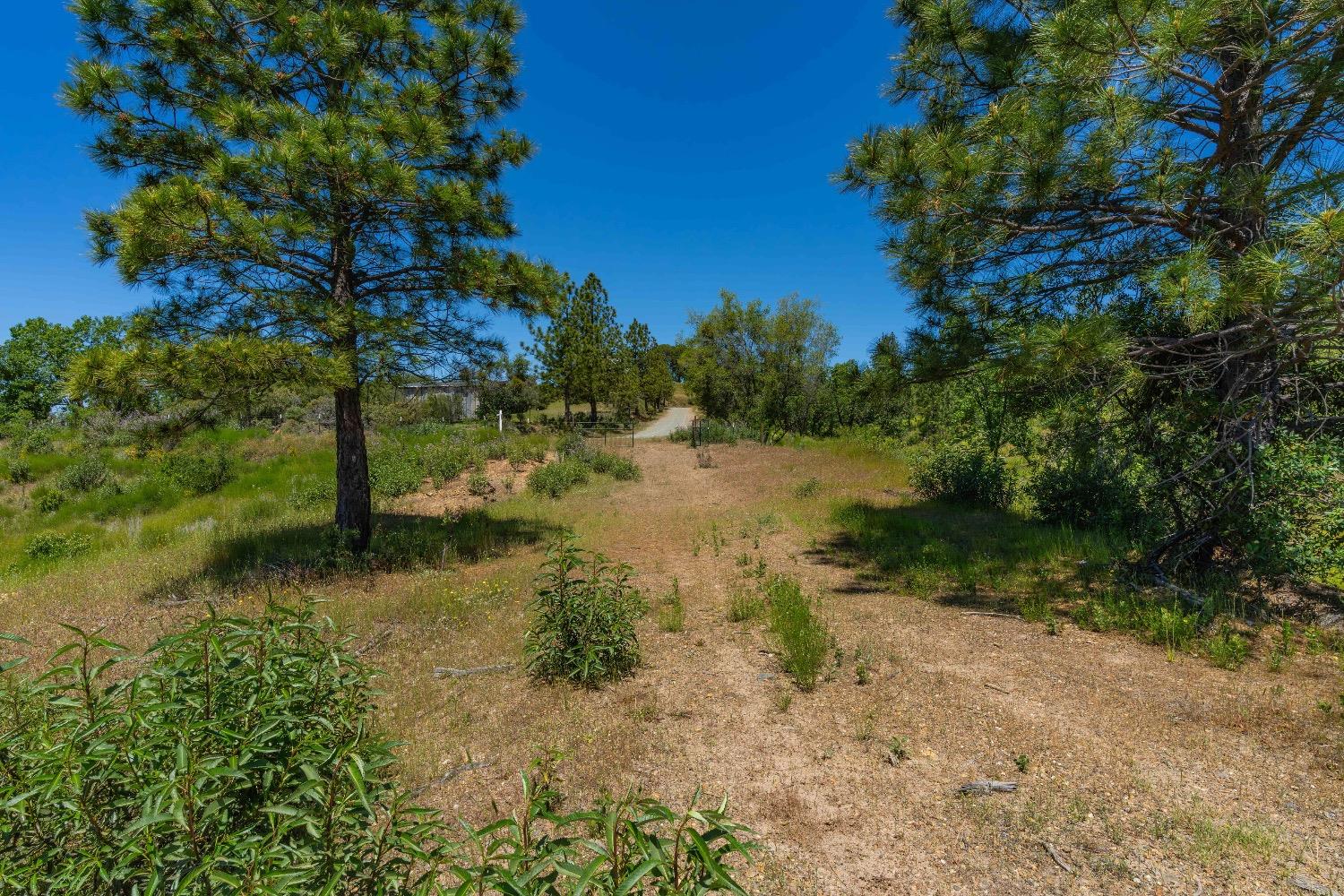 Detail Gallery Image 31 of 57 For 12377 Twin Pines Rd, Sutter Creek,  CA 95685 - – Beds | – Baths