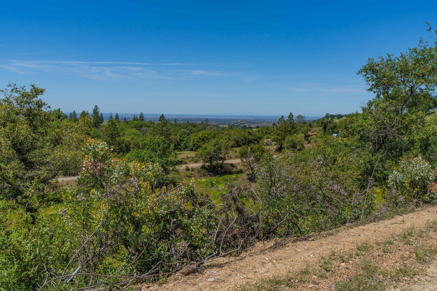 Detail Gallery Image 26 of 57 For 12377 Twin Pines Rd, Sutter Creek,  CA 95685 - – Beds | – Baths