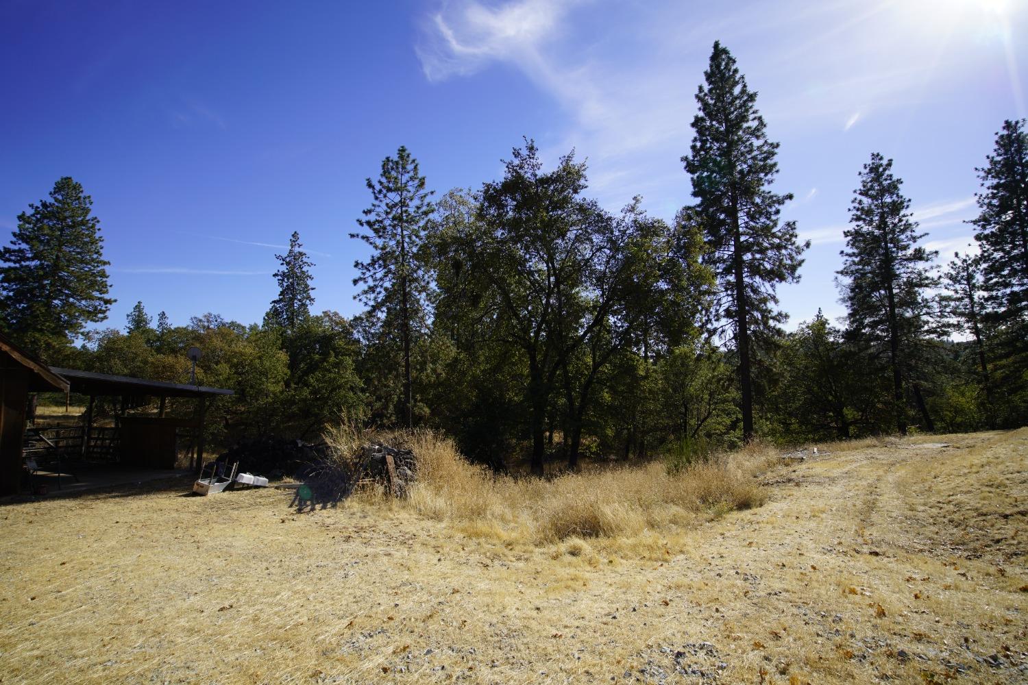 Detail Gallery Image 48 of 51 For 11897 Lost Ranch Way, Nevada City,  CA 95959 - 3 Beds | 2 Baths