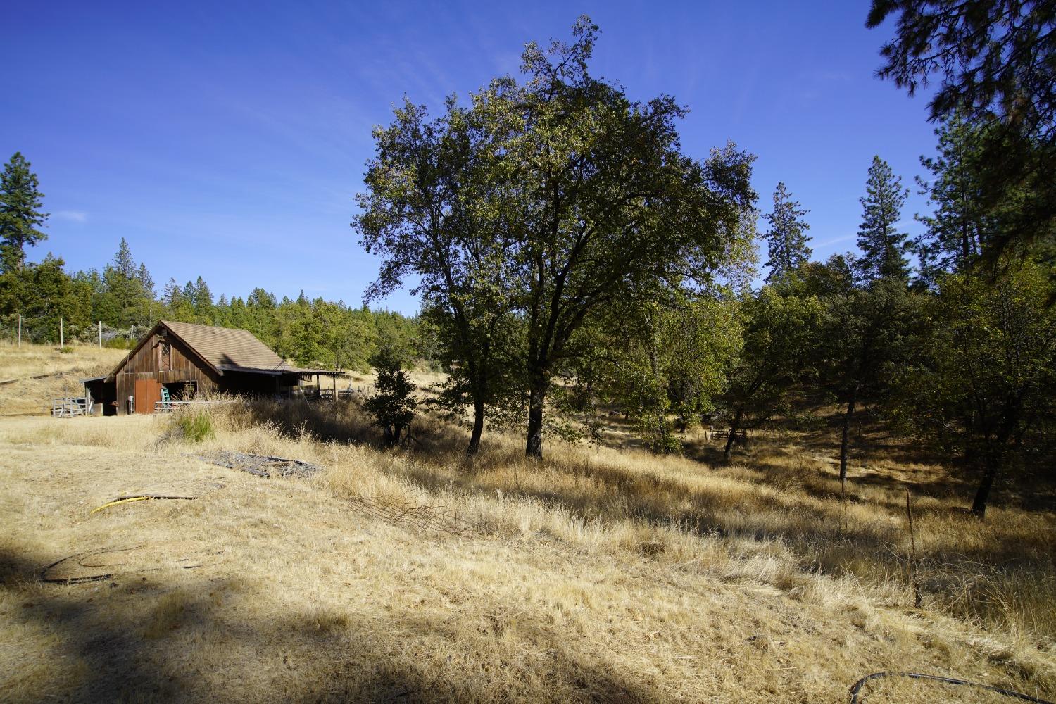 Detail Gallery Image 51 of 51 For 11897 Lost Ranch Way, Nevada City,  CA 95959 - 3 Beds | 2 Baths