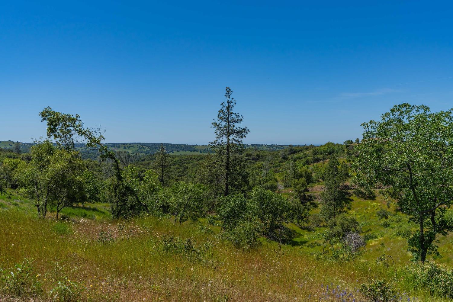 Detail Gallery Image 16 of 57 For 12377 Twin Pines Rd, Sutter Creek,  CA 95685 - – Beds | – Baths