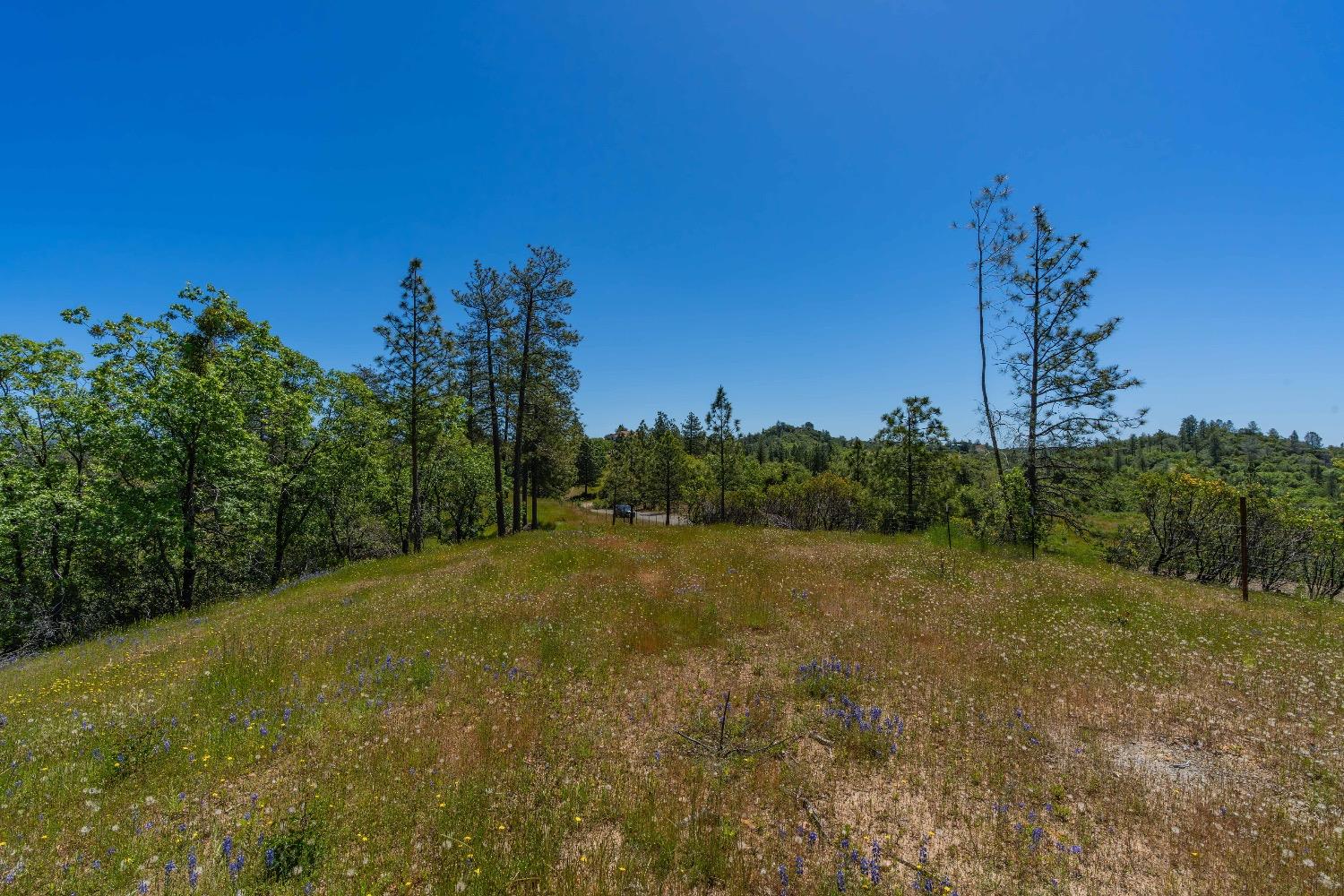 Detail Gallery Image 8 of 57 For 12377 Twin Pines Rd, Sutter Creek,  CA 95685 - – Beds | – Baths