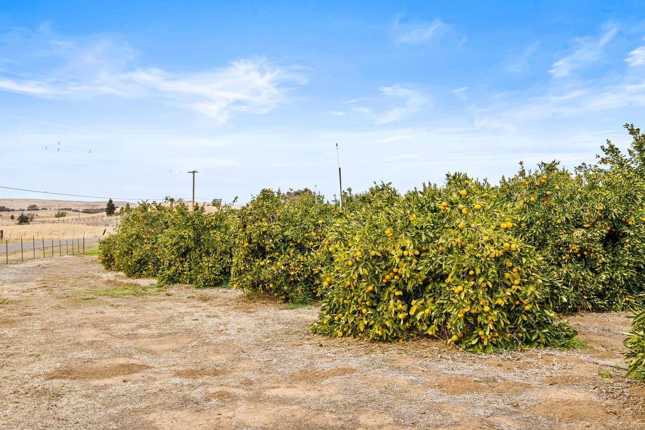 Detail Gallery Image 57 of 74 For 13751 Se Indio Dr, Sloughhouse,  CA 95683 - 3 Beds | 2/1 Baths