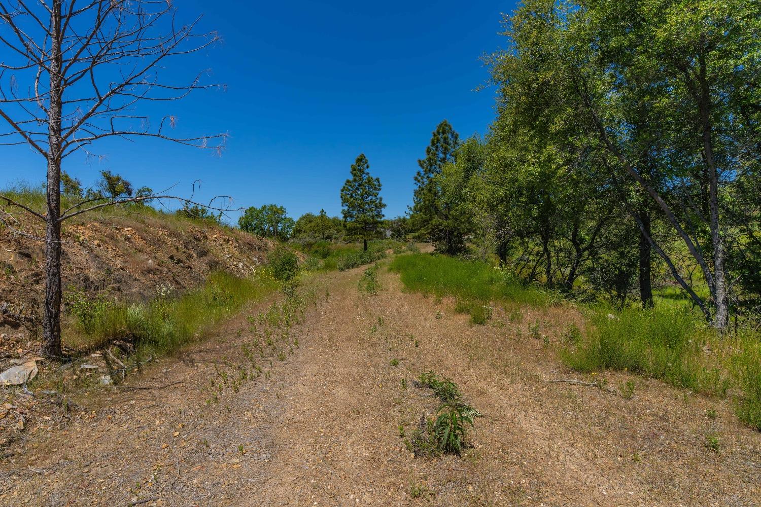 Detail Gallery Image 29 of 57 For 12377 Twin Pines Rd, Sutter Creek,  CA 95685 - – Beds | – Baths