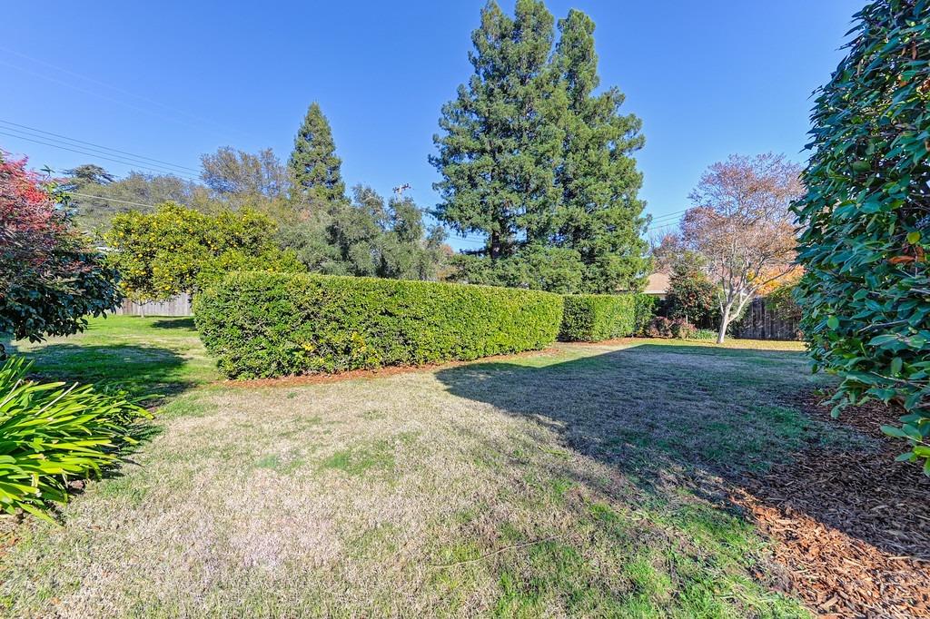 Eastgate Avenue, Citrus Heights, California image 45