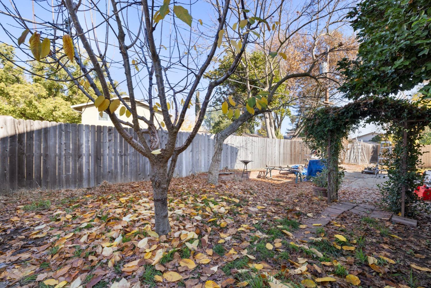 Detail Gallery Image 29 of 30 For 9035 Boise Ct, Sacramento,  CA 95826 - 4 Beds | 2 Baths