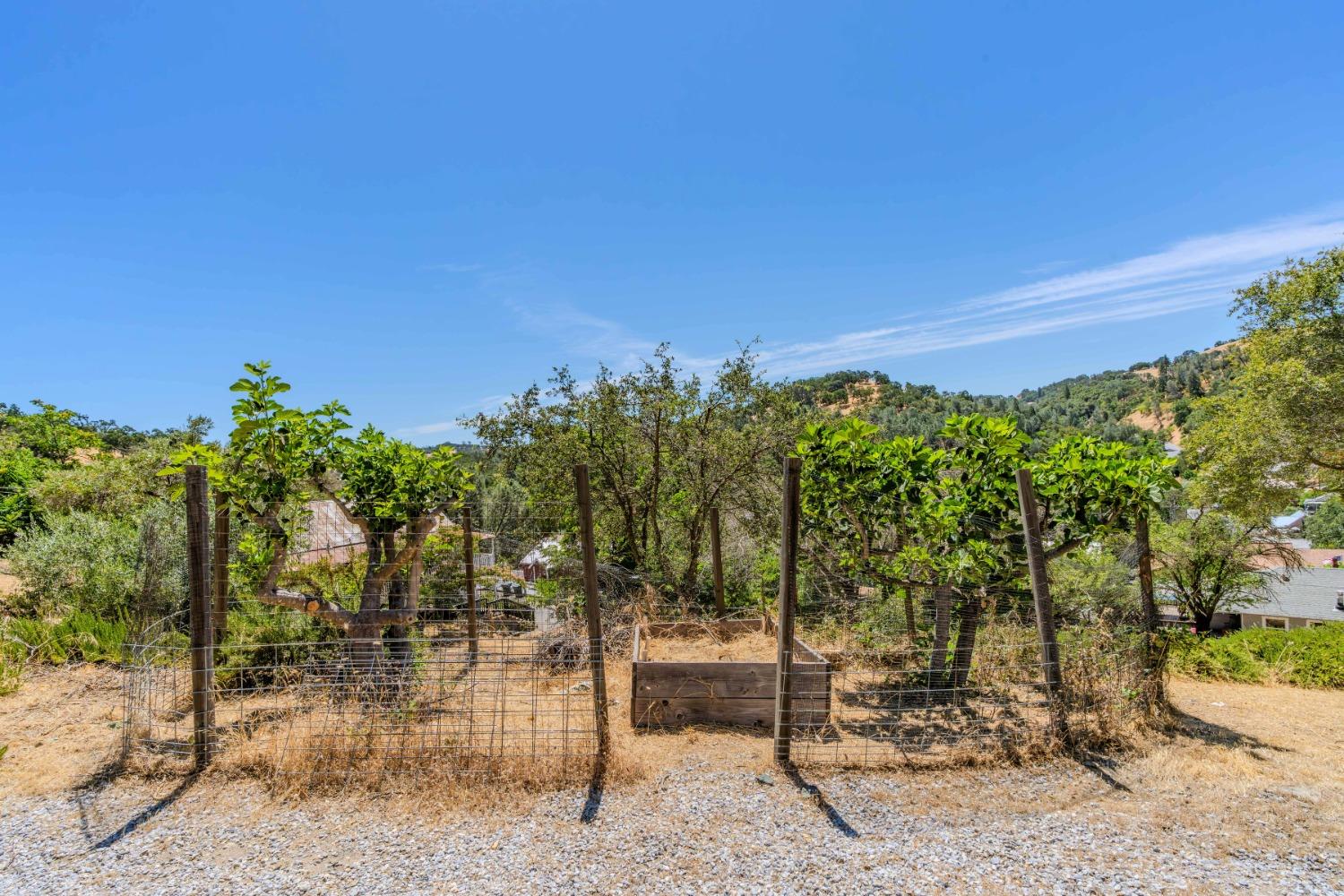 Detail Gallery Image 75 of 82 For 14541 Church St, Amador City,  CA 95601 - 5 Beds | 3/1 Baths