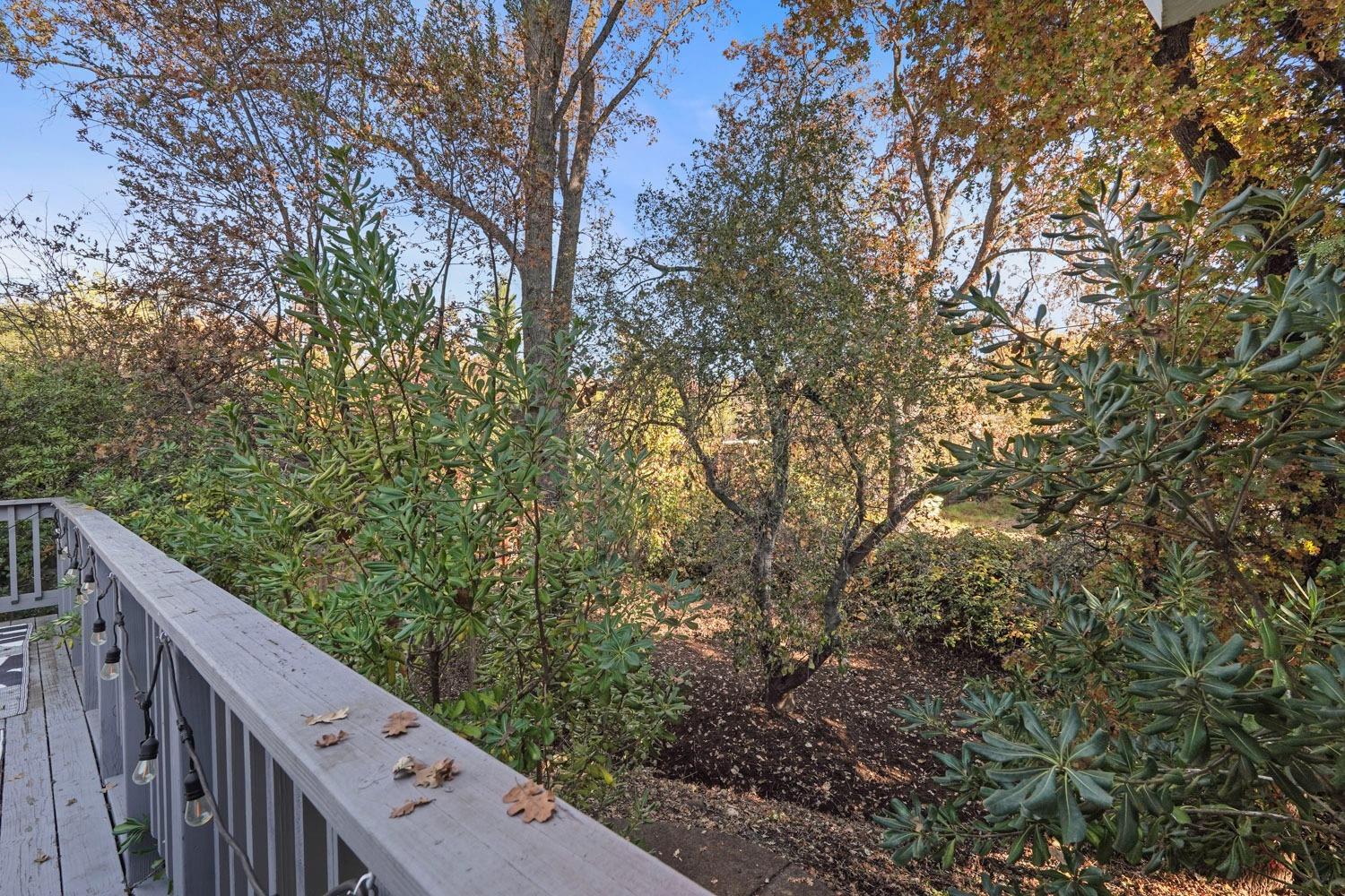 Detail Gallery Image 36 of 46 For 3731 Kimberly Rd, Cameron Park,  CA 95682 - 3 Beds | 2 Baths