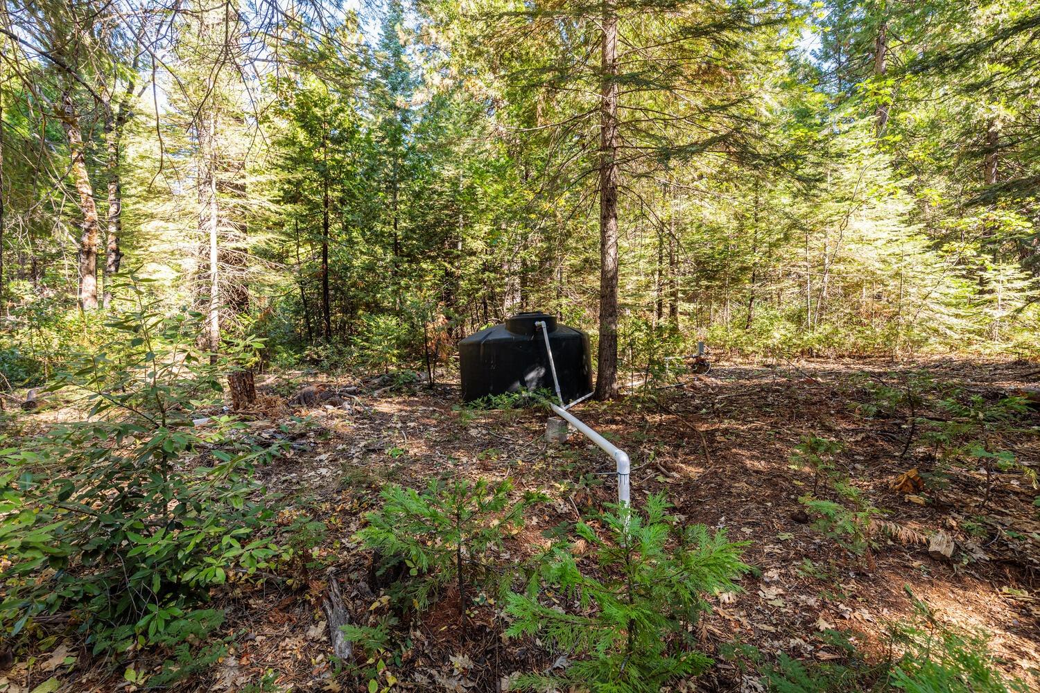 Detail Gallery Image 33 of 41 For 18545 Cruzon Grade Rd, Nevada City,  CA 95959 - 1 Beds | 1 Baths