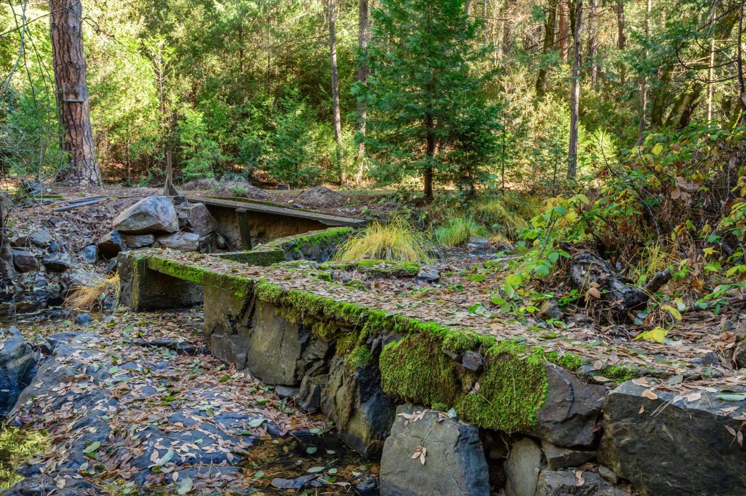 Detail Gallery Image 12 of 21 For 4954 Oak Hill Rd, Placerville,  CA 95667 - 2 Beds | 1 Baths