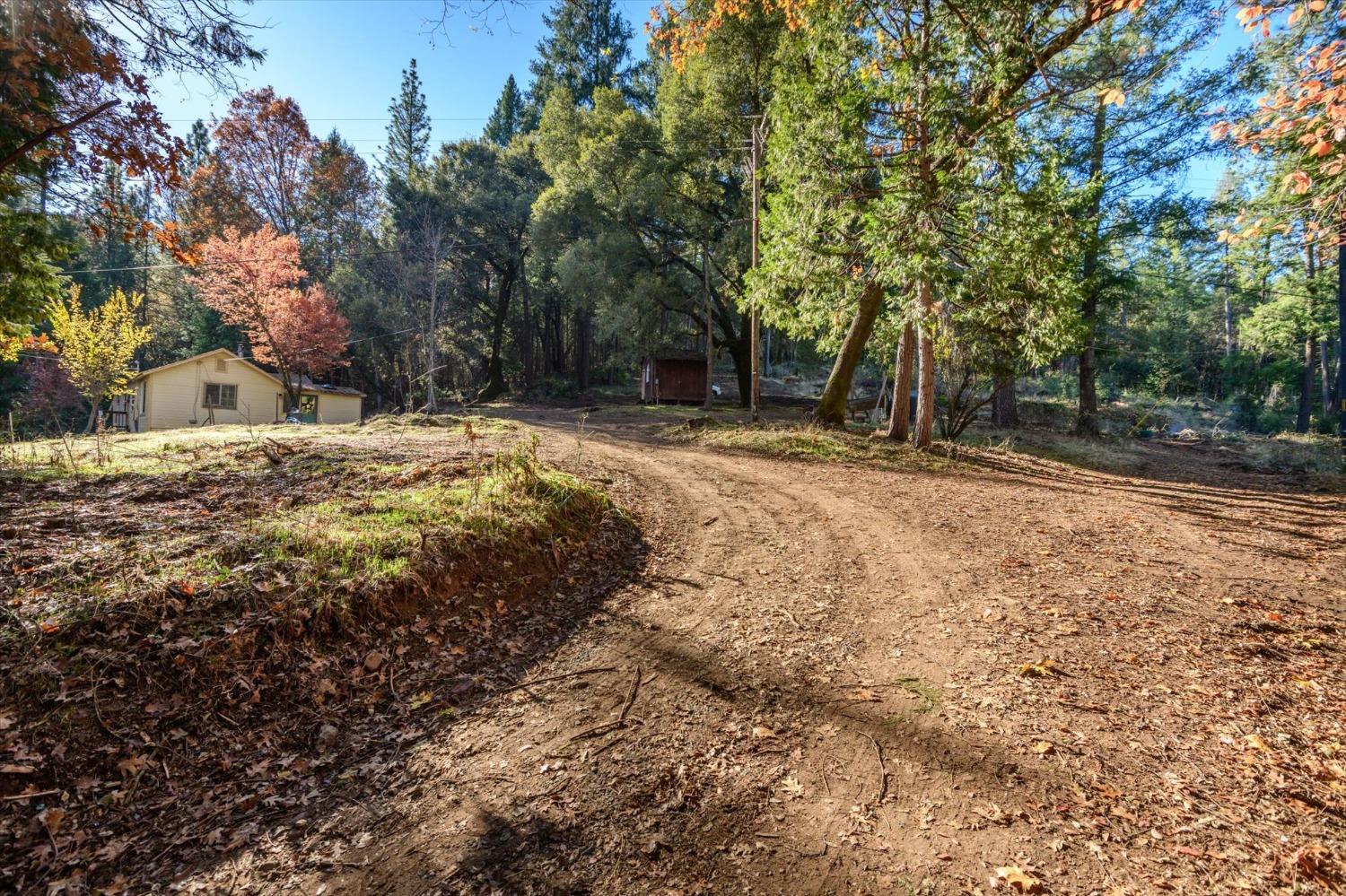 Detail Gallery Image 8 of 21 For 4954 Oak Hill Rd, Placerville,  CA 95667 - 2 Beds | 1 Baths