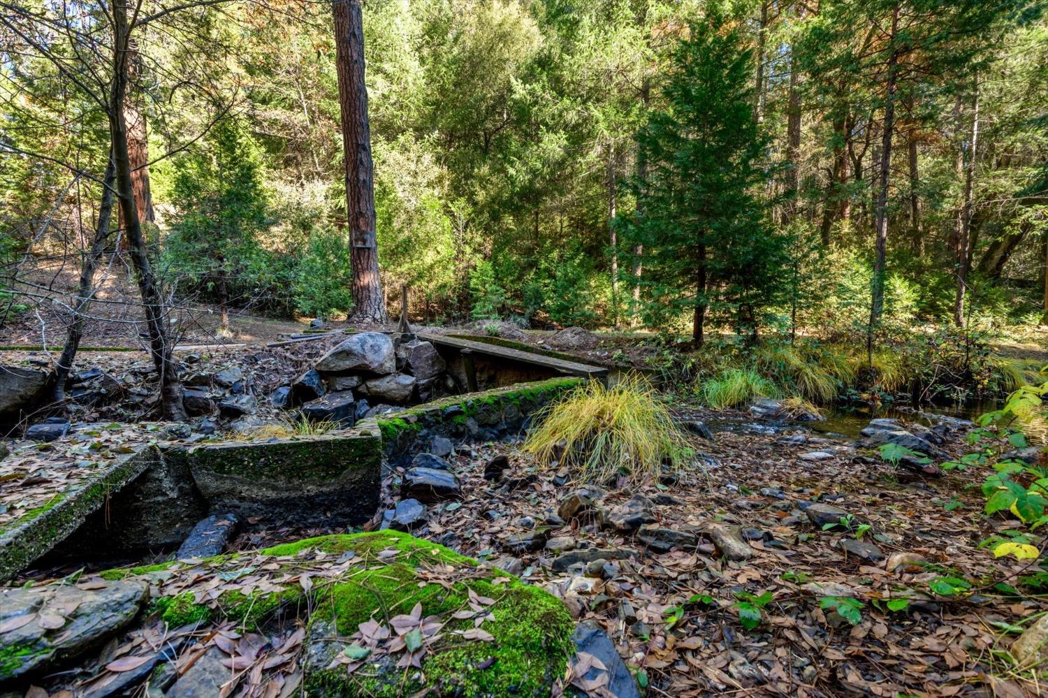 Detail Gallery Image 15 of 21 For 4954 Oak Hill Rd, Placerville,  CA 95667 - 2 Beds | 1 Baths