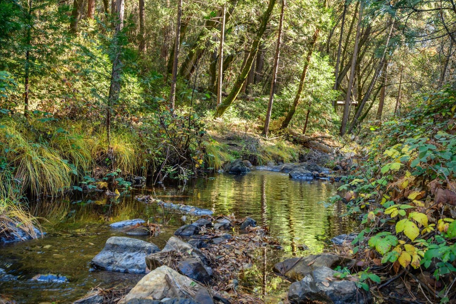 Detail Gallery Image 13 of 21 For 4954 Oak Hill Rd, Placerville,  CA 95667 - 2 Beds | 1 Baths