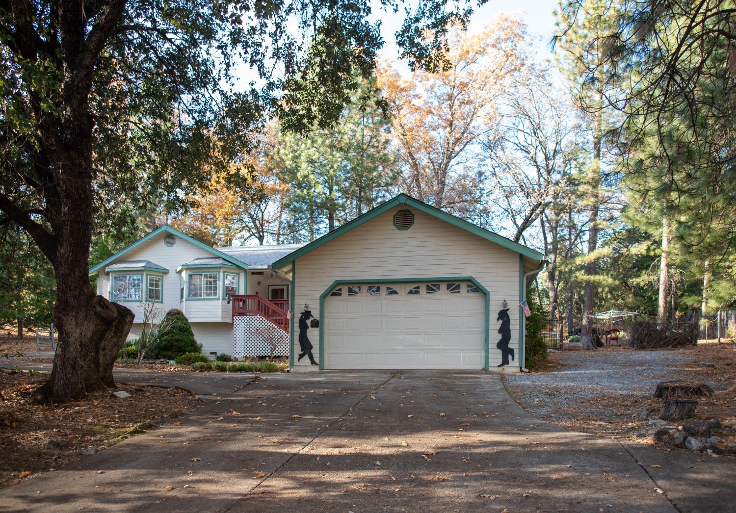 Detail Gallery Image 1 of 53 For 13901 Brook Ct, Pine Grove,  CA 95665 - 3 Beds | 2/1 Baths