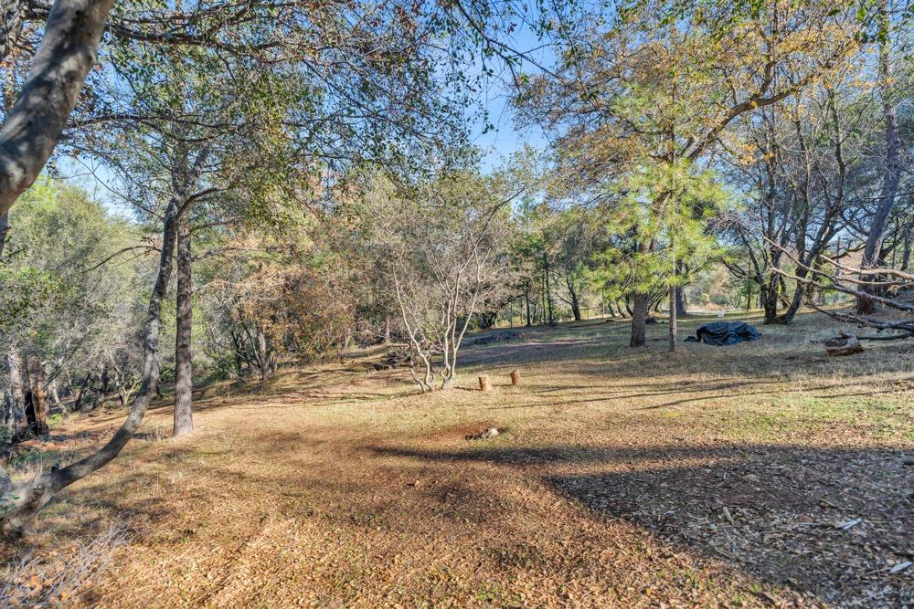 Detail Gallery Image 26 of 41 For 15304 Sisson Rd, Penn Valley,  CA 95946 - 3 Beds | 2 Baths