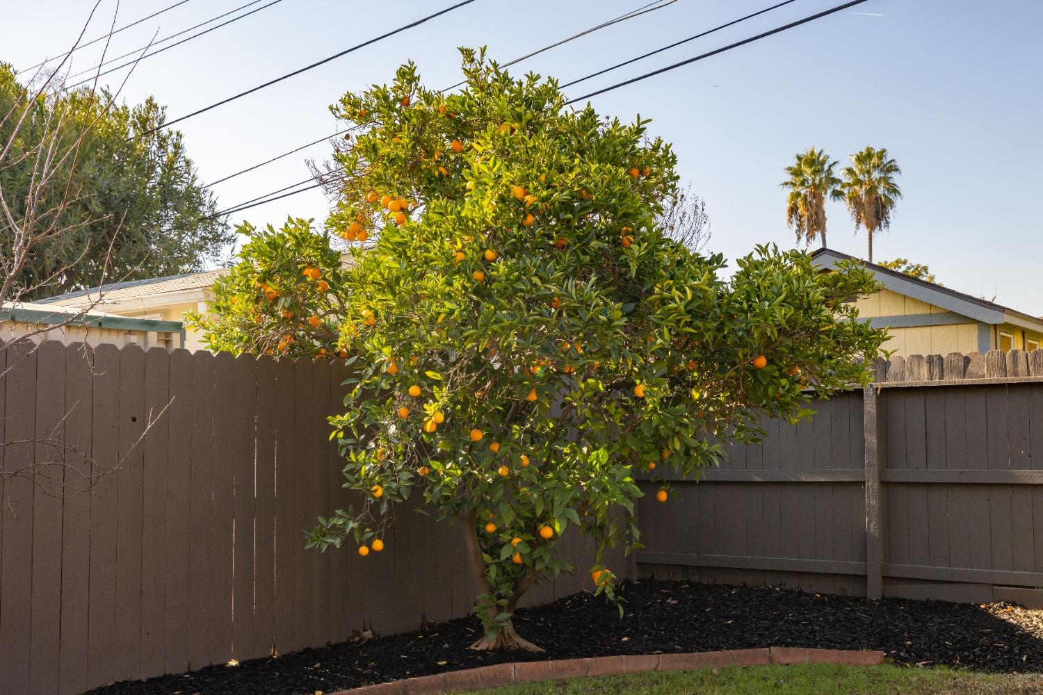 Detail Gallery Image 35 of 37 For 2029 Adonis Way, Sacramento,  CA 95864 - 3 Beds | 2 Baths