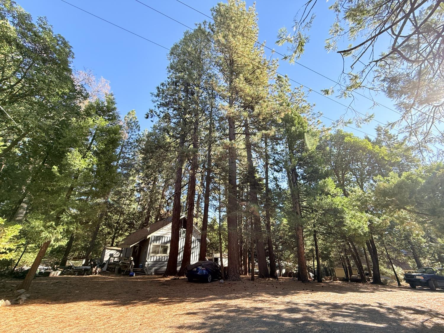 Madrone Court, Pioneer, California image 19