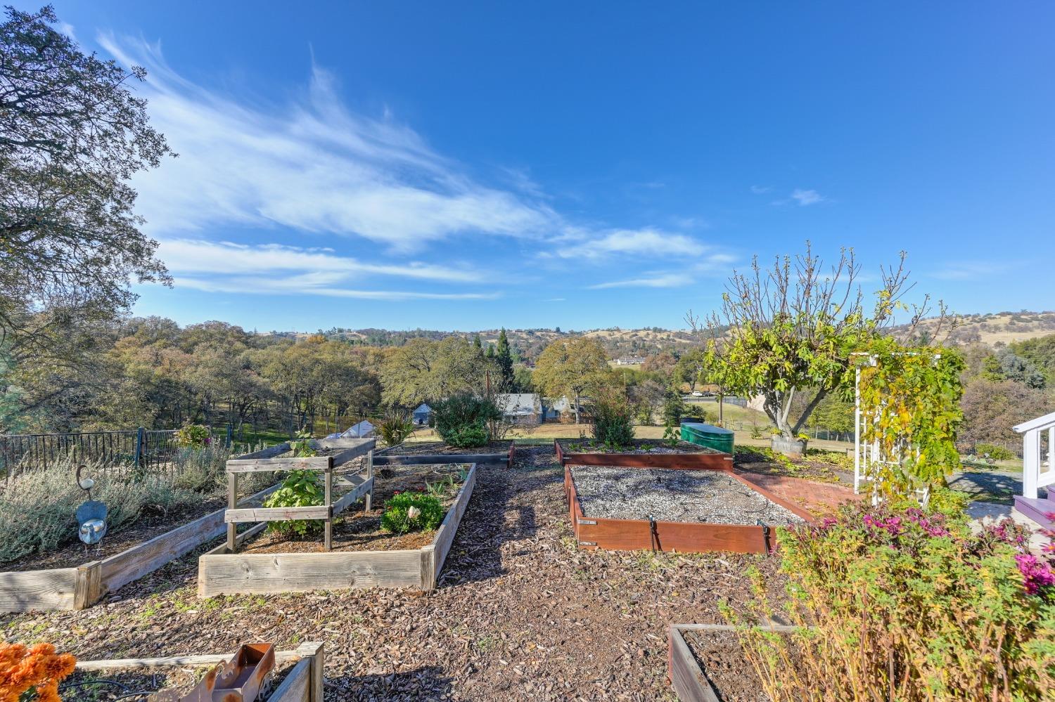 Detail Gallery Image 70 of 99 For 2222 Clair Ct, Valley Springs,  CA 95252 - 3 Beds | 2/1 Baths