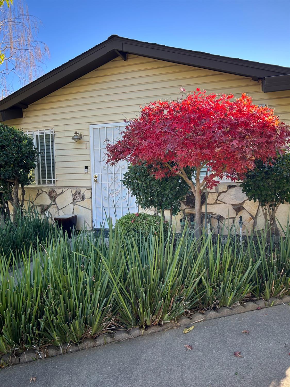 Detail Gallery Image 1 of 16 For 9058 Montoya St #1,  Sacramento,  CA 95826 - 2 Beds | 1 Baths