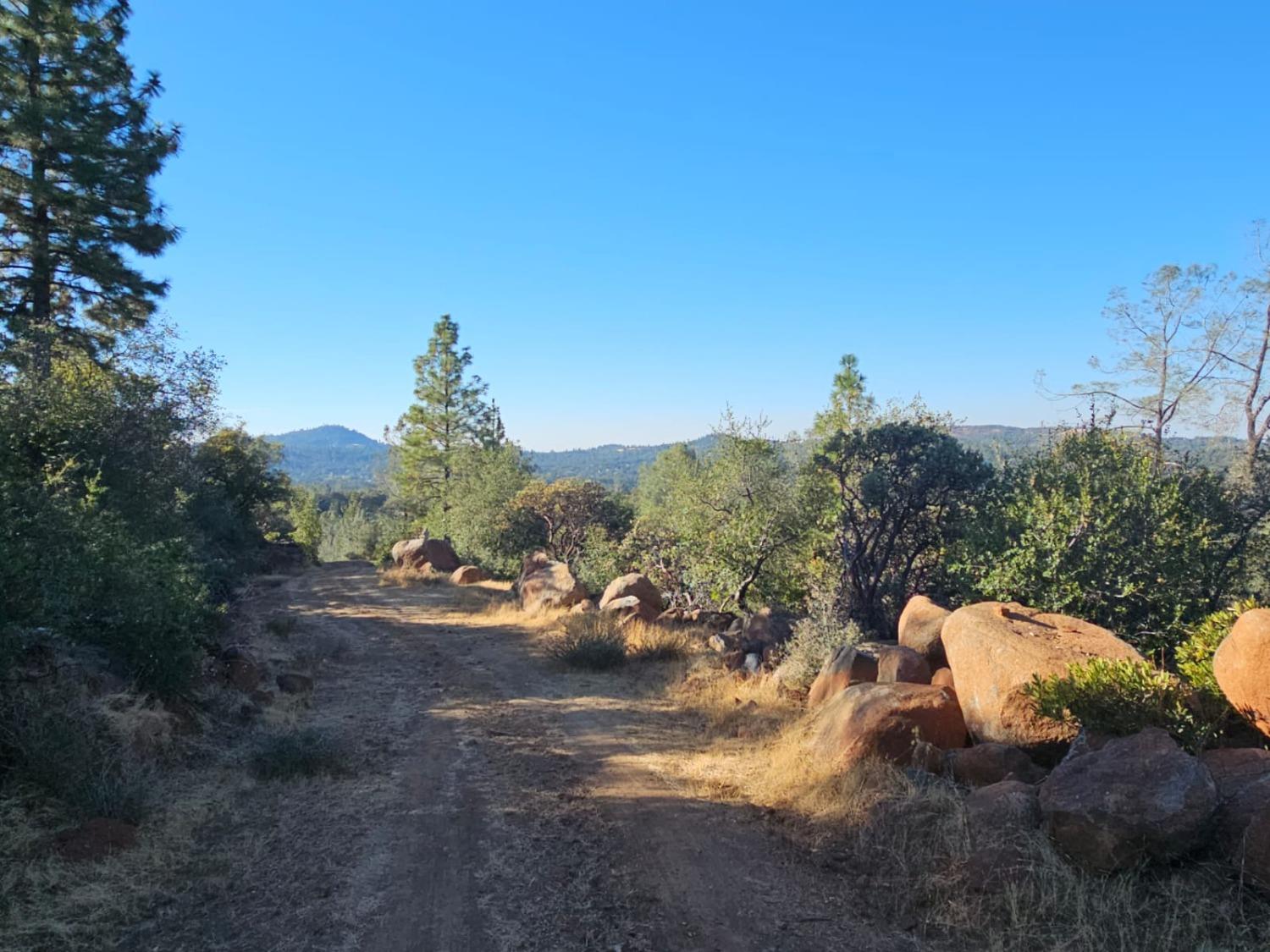 Cloudburst Way, Penn Valley, California image 13