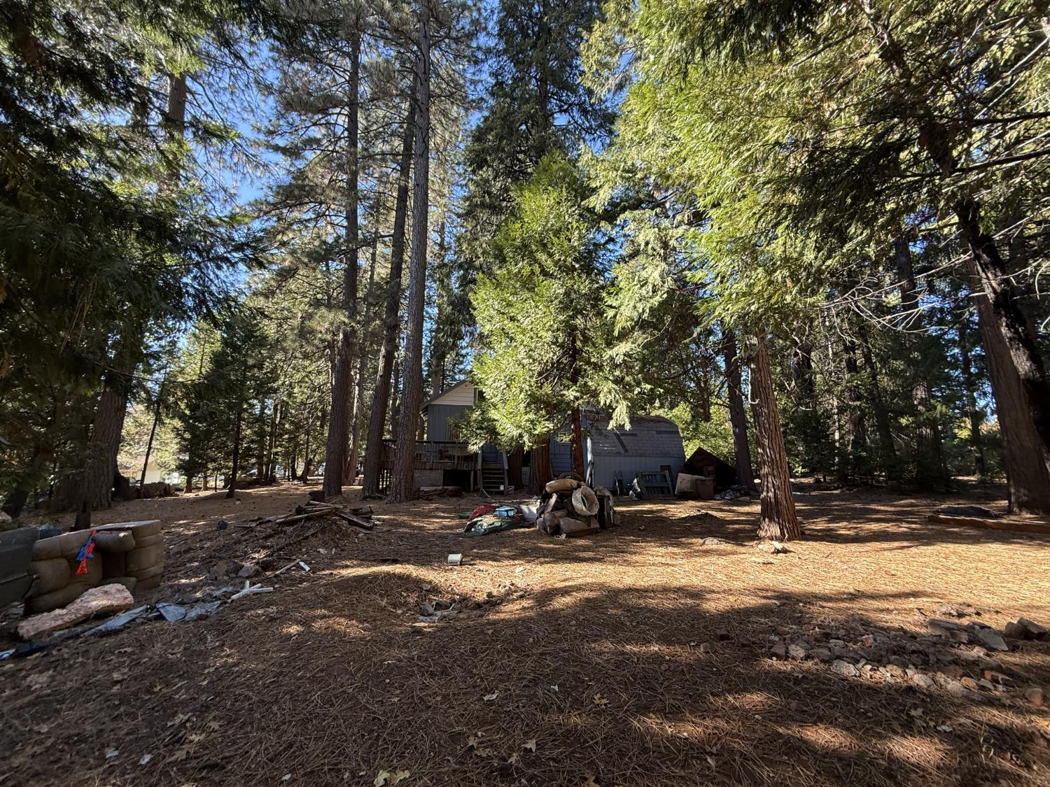 Madrone Court, Pioneer, California image 6