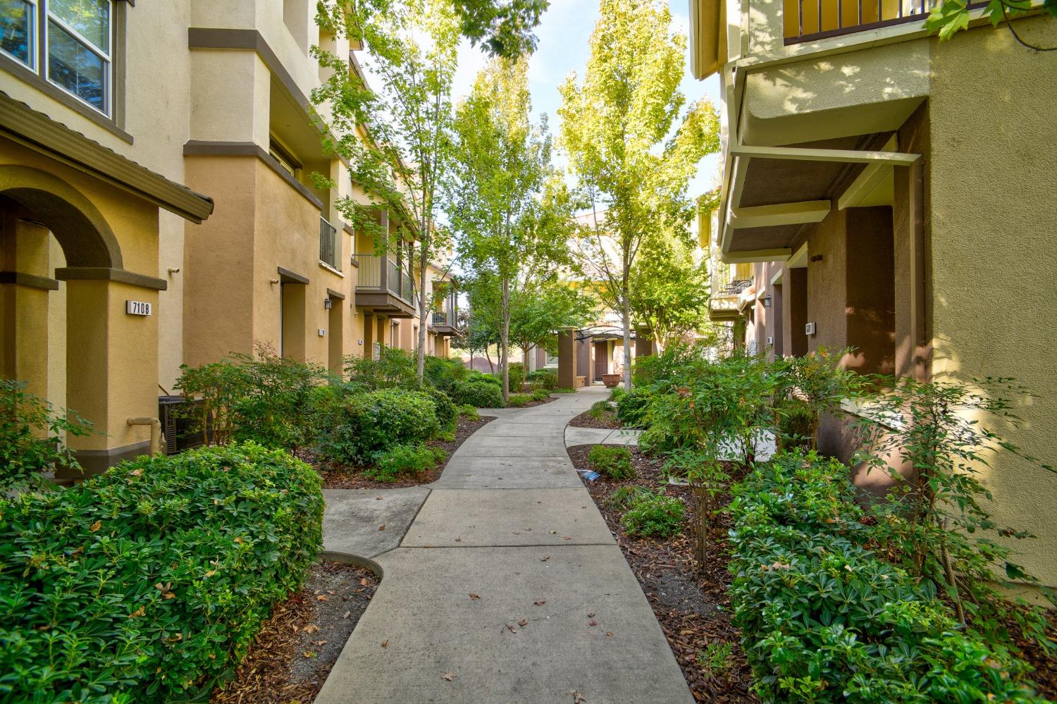 Regency Park Circle #7106, Sacramento, California image 15