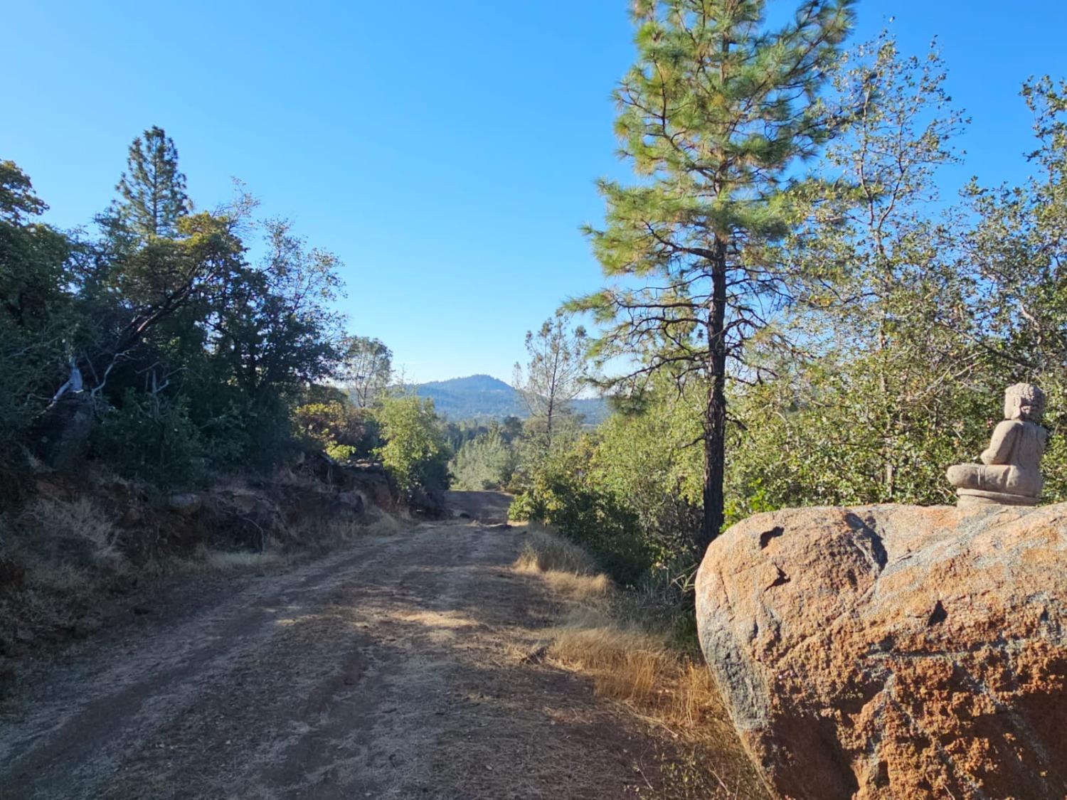 Cloudburst Way, Penn Valley, California image 14