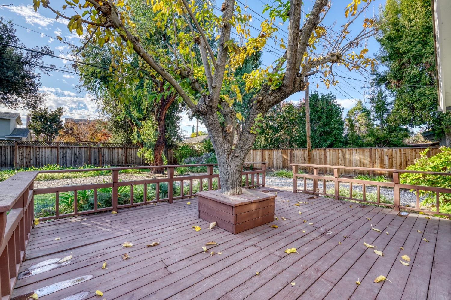 Detail Gallery Image 41 of 50 For 5051 Joseph Ln, San Jose,  CA 95118 - 4 Beds | 3/1 Baths